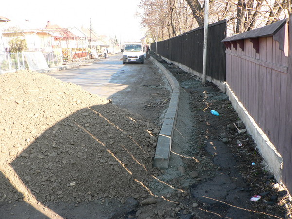 1 Botosani montat borduri6.jpg